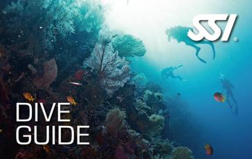 Dive Guide | Curso de buceo