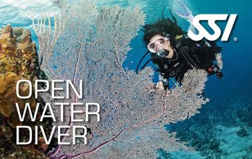 Open Water Diver | Curso de buceo