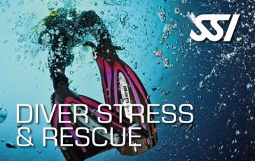 Stress and Rescue | Curso de buceo