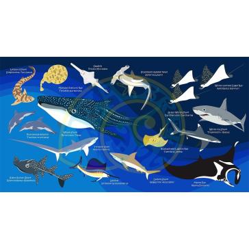 Toalla grande Tiburones Azul oscuro Oceanarium