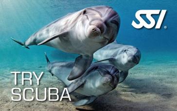 Bautizo de buceo | Try Scuba Diving