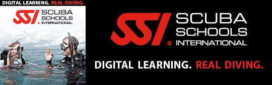 SSI Digital Learning